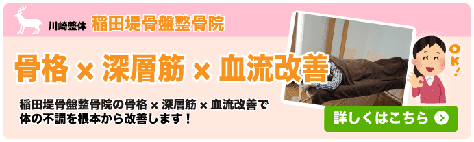 骨格×深層筋×血流改善専門ページ 骨格×深層筋×血流改善専門ページ
